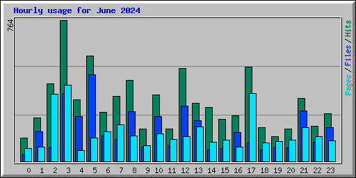 Hourly usage for June 2024