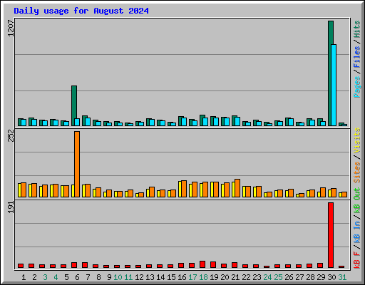 Daily usage for August 2024