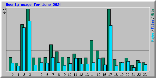 Hourly usage for June 2024