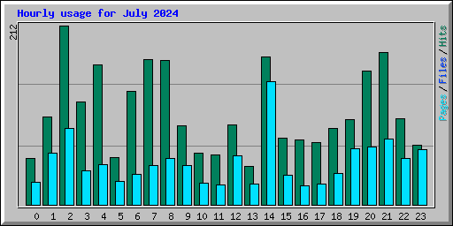 Hourly usage for July 2024