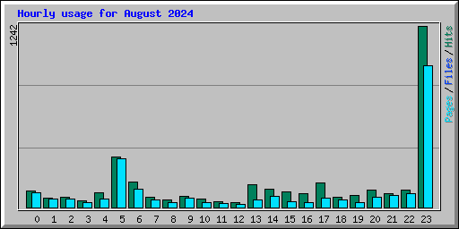 Hourly usage for August 2024